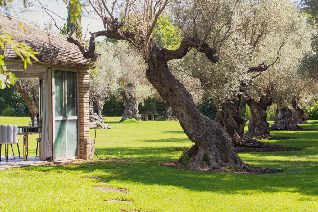 Marc de Delley-20240627-43481