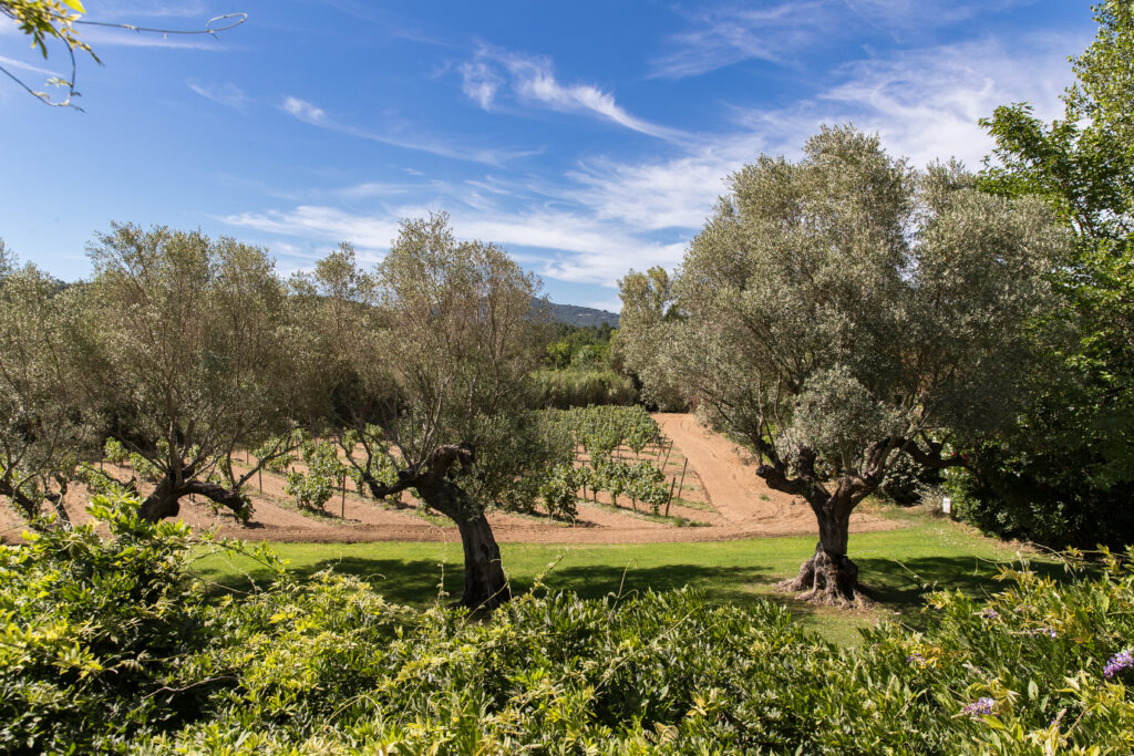 Marc de Delley-20240702-43401