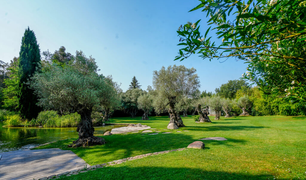 Privatiser - Photos les Mésanges 2021-80